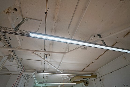LED und Bewegungsmelder sparen nicht nur Strom, sondern schärfen auch das Bewusstsein fürs Energiesparen im Allgemeinen.