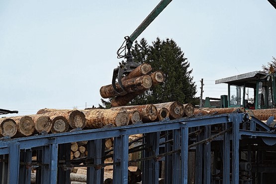 À Vendlincourt, on scie le bois, dont on tire...