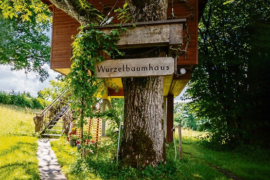 Oase auf dem Baum: Das Wurzelbaumhaus der Familie Wechsler und Lustenberger in Neuenkirch bietet einen luftigen Tapetenwechsel in einem komfortablen und abenteuerlichen Ambiente. Bilder: zVg