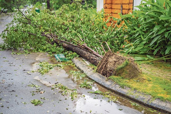 Les intempéries sont de plus en plus fréquentes en Suisse aussi. Mais les bâtiments et les biens mobiliers sont assurés.Photo: 123RF