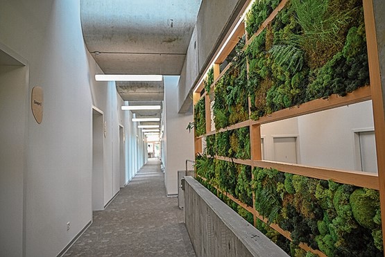 La bâtiment administratif a déjà été entièrement rénové.