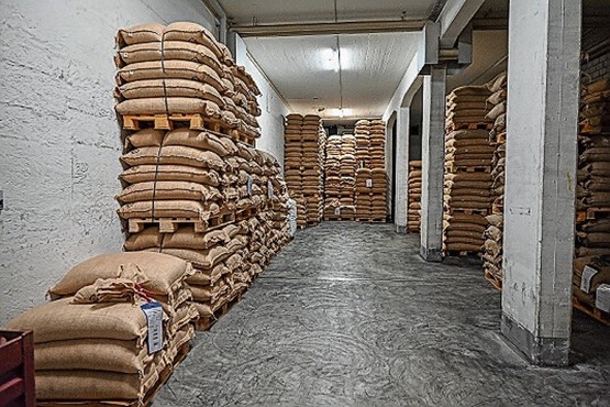 Entrepôt et réserves de café vert.