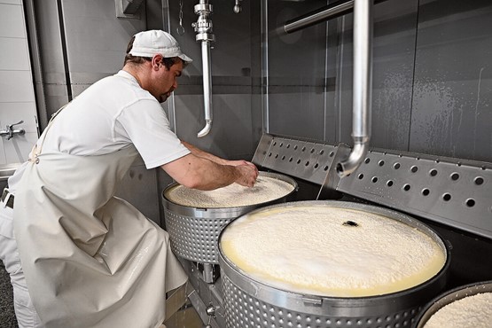 La production de Gruyère AOP à Develier a débuté en septembre dernier.Photos: FOG