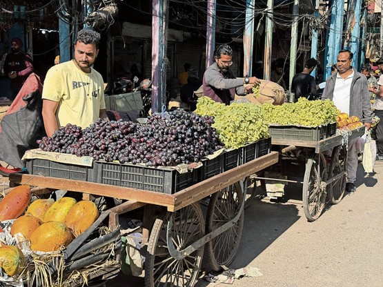 L’accord avec l’Inde permettra aux entreprises suisses de profiter plus facilement de la croissance du marché indien grâce à un accès préférentiel. Sur cette photo, le marché au fruits et légumes du vieux Delhi.Photo: Patrick Dümmler
