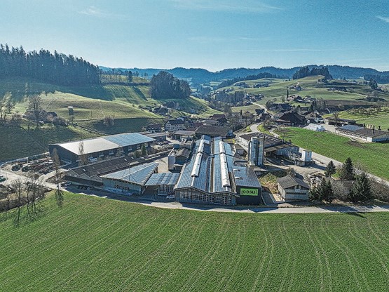 Der Standort Schweiz ist eine Herzensangelegenheit: Die Loosli-Möbel werden in Wyssachen im Emmental produziert. Bilder: zVg