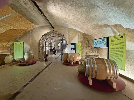 Historischer Weinkeller Arenenberg: Die Sonderausstellung des Napoleonmuseums Arenenberg «2000 Jahre Wein auf Arenenberg» wird im Gewölbe des historischen Weinkellers und im Ausstellungsraum «Cinéma» gezeigt.  Bild: Napoleonmuseum Arenenberg