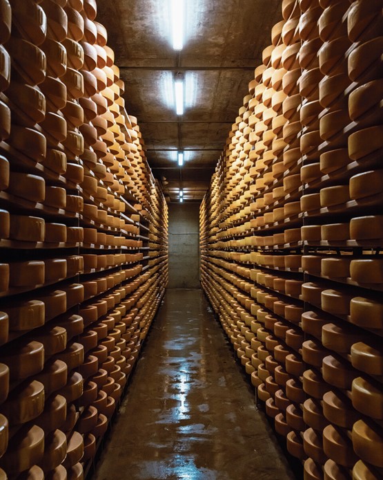 Pour Paul Meier, directeur de Fromarte (en médaillon), il est indispensable de conclure des accords équitables et solides avec les pays exportateurs: 40% des produits fromagers suisses sont exportés. Photos: Fromarte