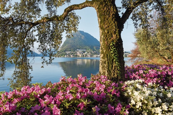 Un parc botanique dans la région de Lugano. Toute l’attention du public se porte sur la biodiversité. Photo: 123RF