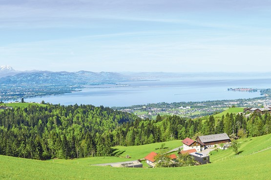Die Mär von der völlig zersiedelten Schweiz – sie ist schlicht falsch: Landschaft am Bodensee. Bild: Fotolia