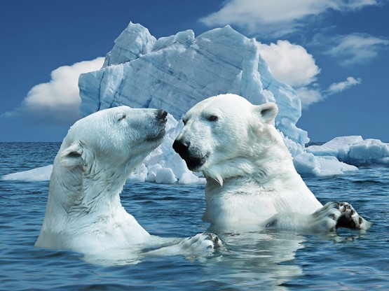 Gute Kältetechnik ist betriebssicher und verursacht keine unnötigen Kosten. Bild: Fotolia