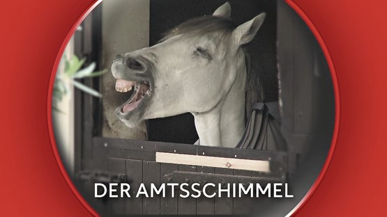 Bloss nicht auf das falsche Pferd setzen: «Der Amtsschimmel» setzt sich für KMU und gegen unnötige Regulierungen ein.Bild: FOKUS KMU