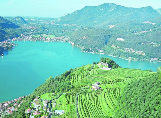 Mässiges Weinjahr mit kleinen Ernten, aber guter Qualität: Rund 40 Prozent des gesamten Weinmarktes in der Schweiz  werden auch hier produziert. Kleines Bild: Bruno Bonfanti, Präsident der Vereinigung Schweizer Weinhandel (VSW):  «Die Regulierungswut muss stoppen, sie behindert uns massiv in unserem Unternehmertum.» BILD: ZVG