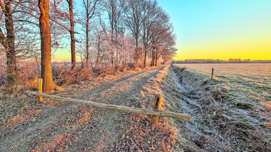 In der Klimapolitik darf der Weg zum  Erfolg nicht durch zu starre Regelungen  verbaut werden.BILD: Fotolia