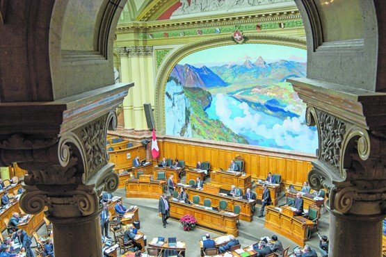 Das Parlament macht Gesetze, nicht der Bundesrat oder die Verwaltung: Blick in den Nationalratssaal.BILD: ZVG