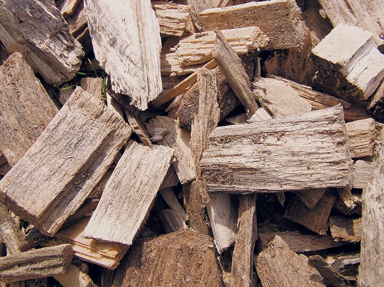 Holz ist CO2-neutral, erneuerbar und günstig. In den letzten Jahren verbesserte sich die Holzverbrennungstechnik – die Wirkungsgrade stiegen und die Emissionswerte sanken.